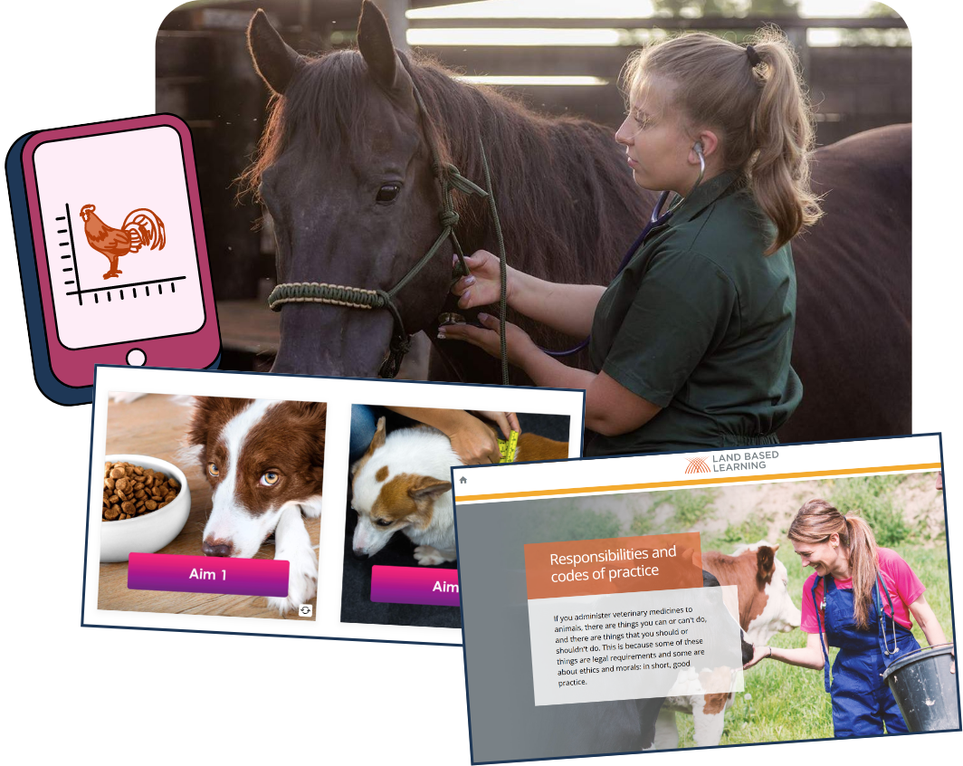 Bespoke eLearning Vets