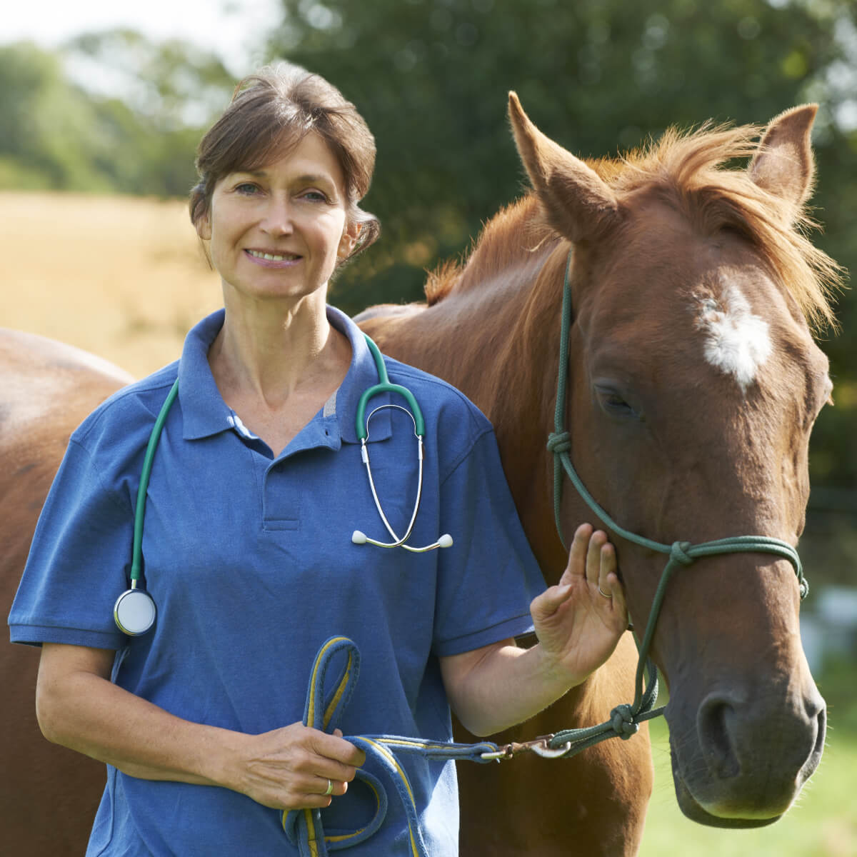 Veterinarian standing beside a horse in a field, demonstrating large animal care included in eLearning for Veterinary Receptionists.