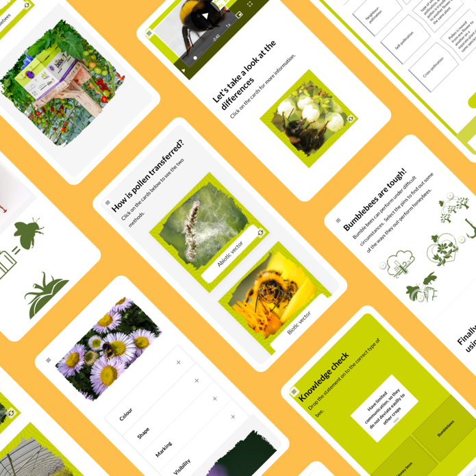 Microlearning for Biobest